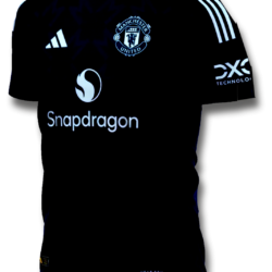 Manchester United art